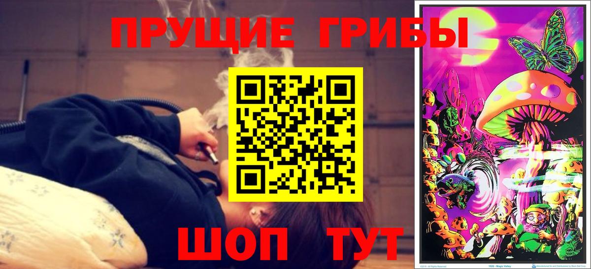 Алексин  хочу   Вход с VPN  Псилоцибиновые грибы GOLDEN TEACHER 