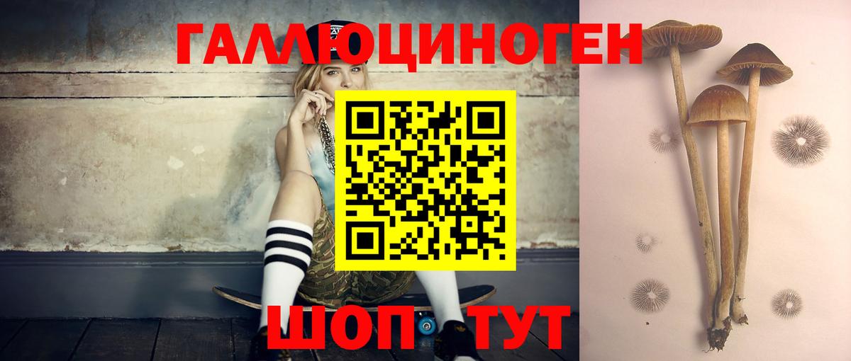 Псилоцибиновые грибы мухоморы Алексин